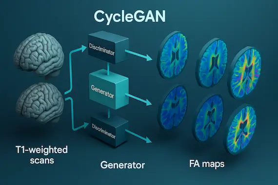 AI MRI Analysis Free