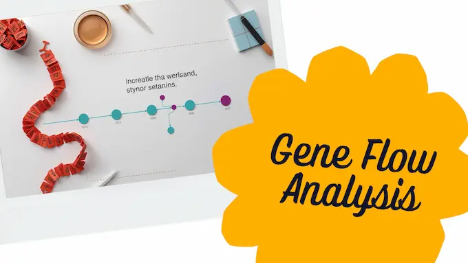 Overhead concept of genes forming sentences into an AI pipeline, illustrating how Cell2Sentence turns expression into language.