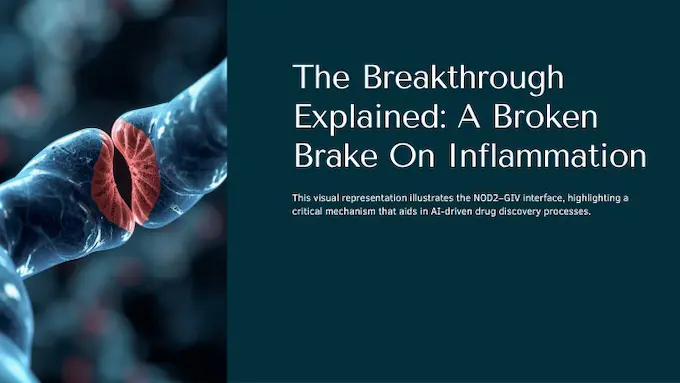 Macro protein interface shows a broken NOD2–GIV brake, clarifying mechanism that guides AI in drug discovery.