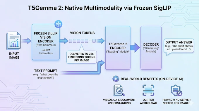 Infographic demonstrating T5Gemma 2 native multimodality using a frozen SigLIP vision encoder for image tokens.