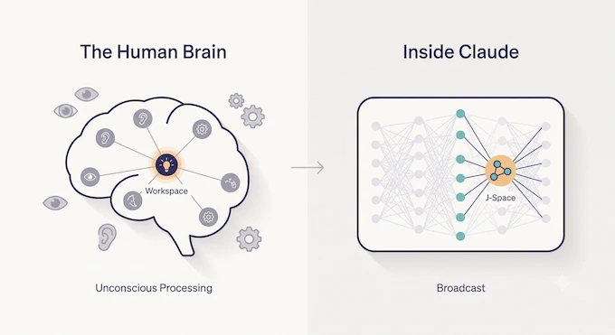 Diagram comparing Global Workspace Theory in the brain and in Claude