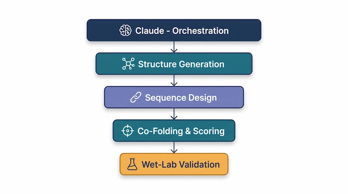 Claude Protein Design infographic showing the layered workflow from orchestration to wet-lab validation
