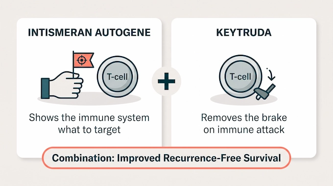 Infographic explaining why the mRNA cancer vaccine intismeran autogene is combined with Keytruda immunotherapy