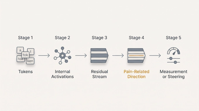 Infographic on can AI feel pain, showing the flow from tokens to residual stream to the pain axis