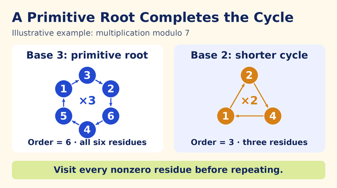 Artin’s primitive root conjecture example: 3 cycles through six residues modulo 7; 2 cycles through three.