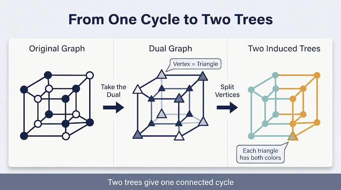 Diagram showing how Barnette’s Conjecture turns a cycle problem into two induced trees in the dual graph