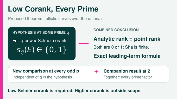 Birch and Swinnerton Dyer Conjecture diagram separates the Selmer hypothesis from the every-prime conclusion.