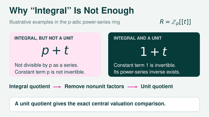 Birch and Swinnerton Dyer Conjecture infographic compares integral nonunits with units in a p-adic series ring.