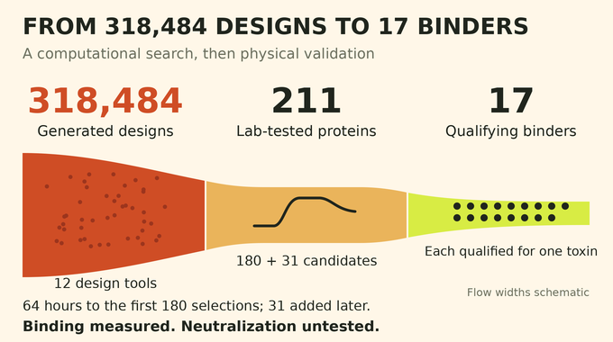 Claude Scorpion Toxin design funnel: 318,484 generated designs, 211 tested proteins, and 17 qualifying binders.