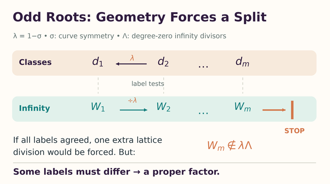 Deterministic polynomial factorization over prime fields: an infinity-lattice obstruction forces a split.