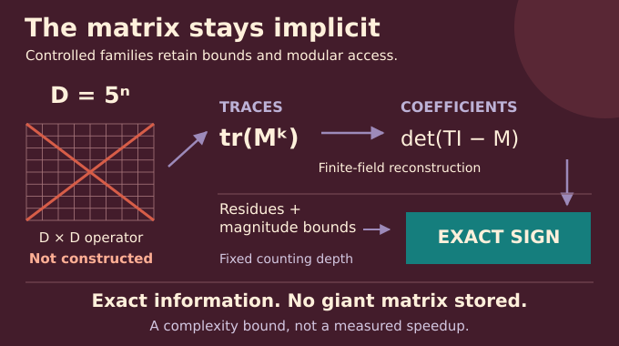 Existential Theory of the Reals: traces and modular arithmetic recover signs without storing an exponential matrix.