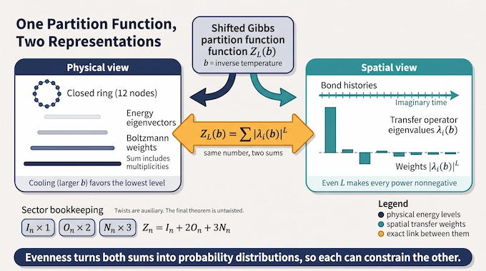 haldane-gap-conjecture-two-representations-infographic