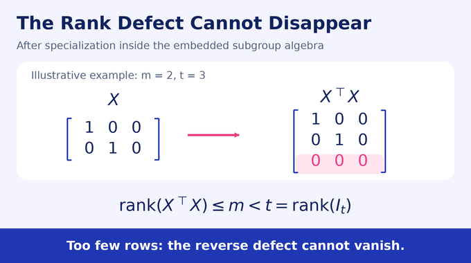 Kaplansky Direct Finiteness Conjecture: a rank obstruction exposes the reverse-product defect.