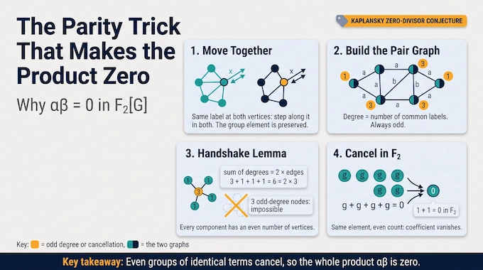 kaplansky-zero-divisor-conjecture-parity-trick
