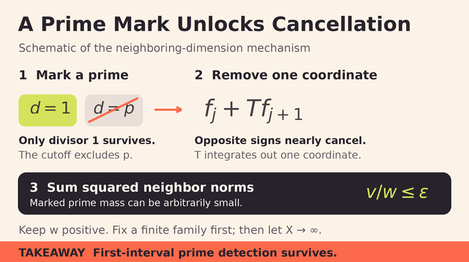 Large prime gaps proof: a prime mark removes a divisor coordinate so neighboring dimensions can nearly cancel.
