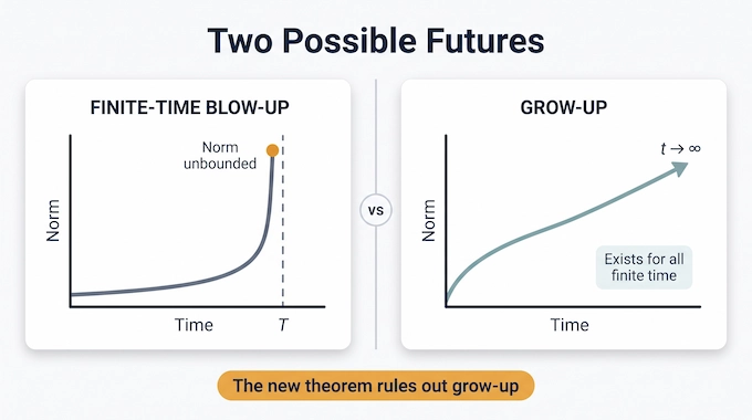 Nonlinear Schrödinger Equation infographic comparing finite-time blow-up with infinite-time grow-up