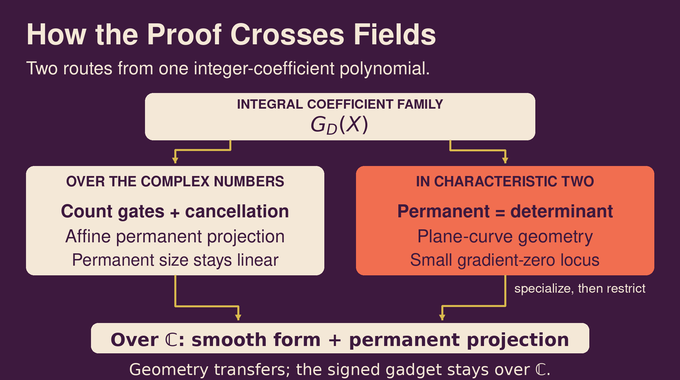 Permanent vs determinant problem: complex projections and characteristic-two geometry meet in a smooth form.