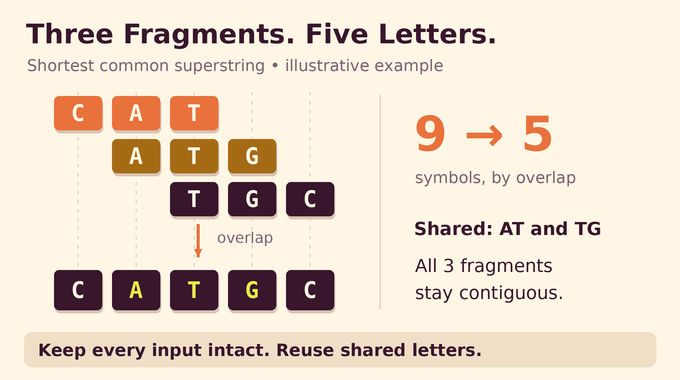 Shortest common superstring example merging CAT, ATG, and TGC into the five-letter string CATGC.