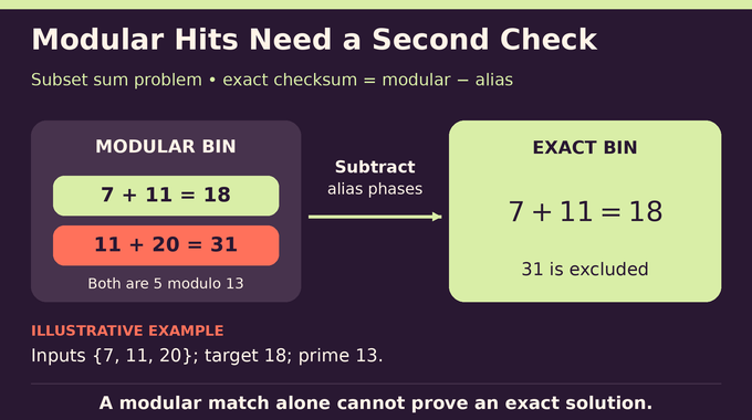 Subset sum problem example separates exact target sums from modular aliases.