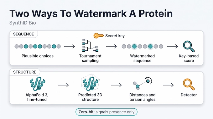 SynthID Bio infographic comparing sequence and structure watermarking methods